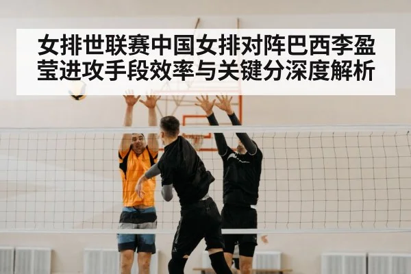 volleyball block net